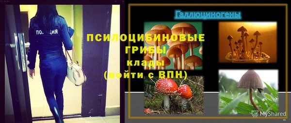 СК Балахна
