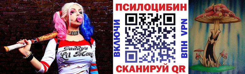 купить   Протвино  Галлюциногенные грибы Cubensis 